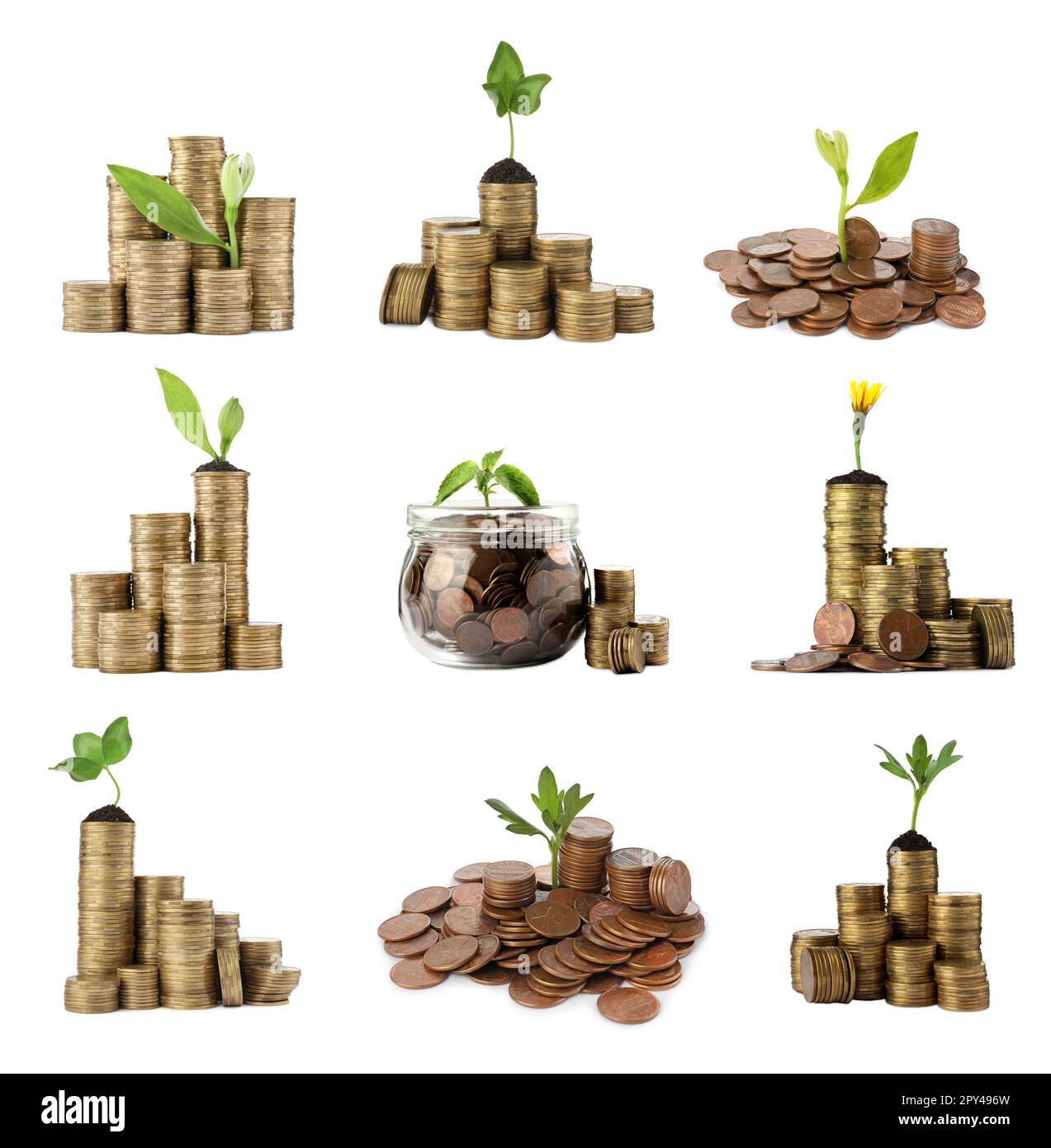 Set con vasetto, monete e piante in crescita su sfondo bianco. Investimento di successo Foto Stock