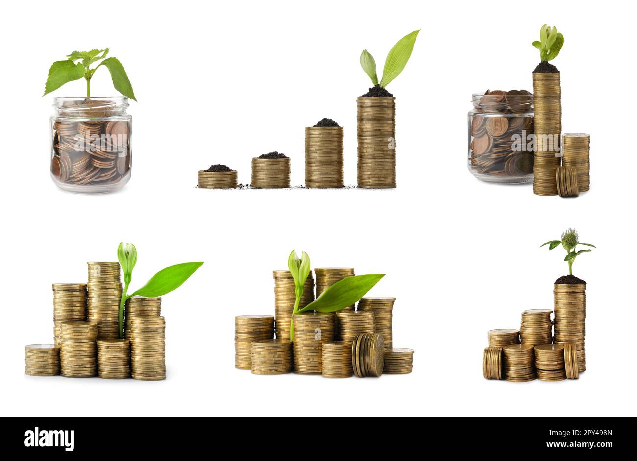 Set con vasi, monete e piante in crescita su sfondo bianco. Investimento di successo Foto Stock