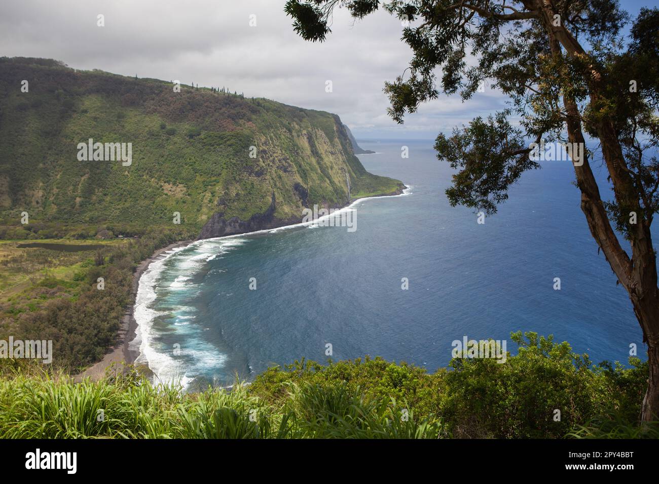 Hawaii, Big Island Waipihilo Valley Lookout, vista panoramica Foto Stock