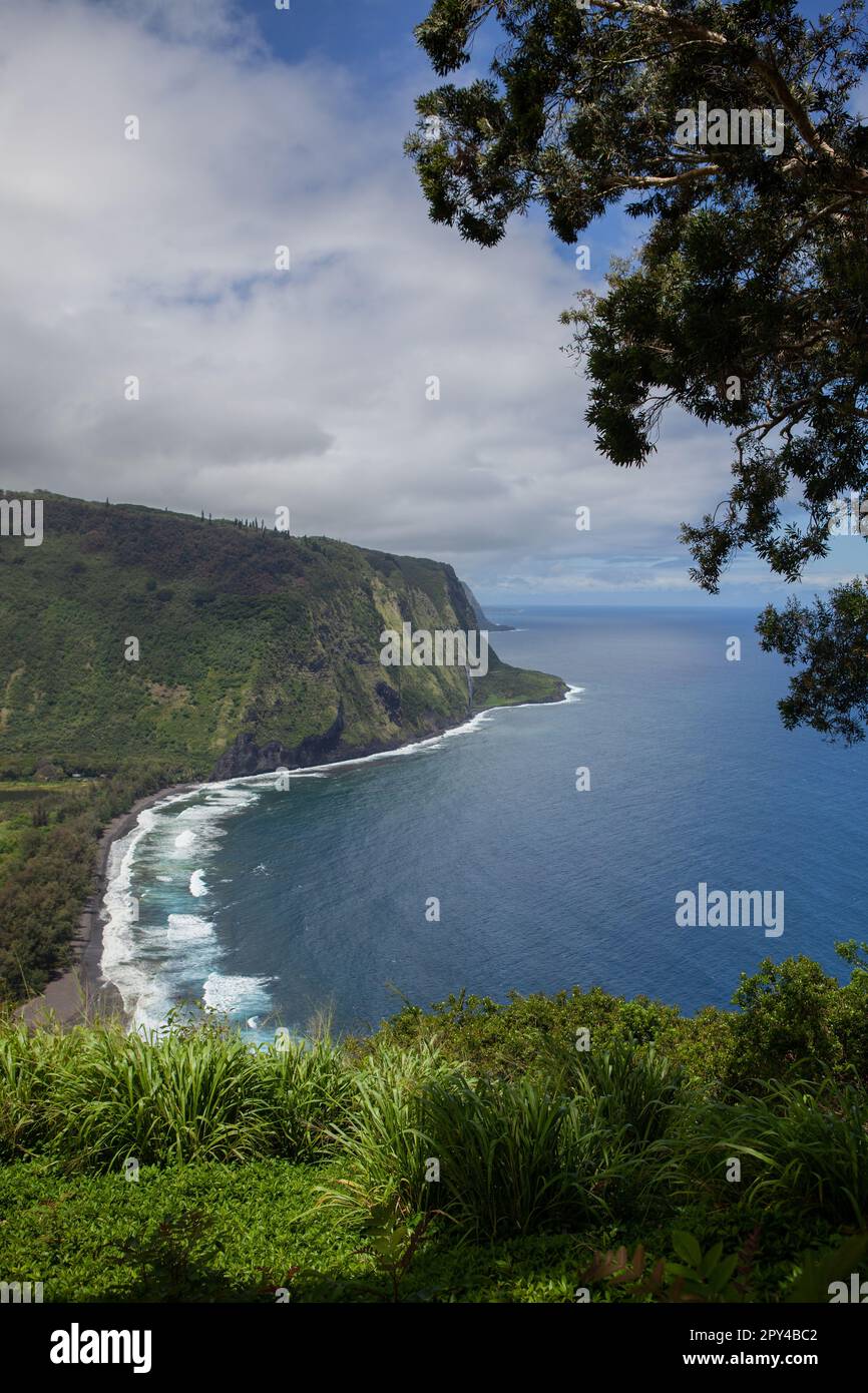 Hawaii, Big Island Waipihilo Valley Lookout, vista panoramica Foto Stock
