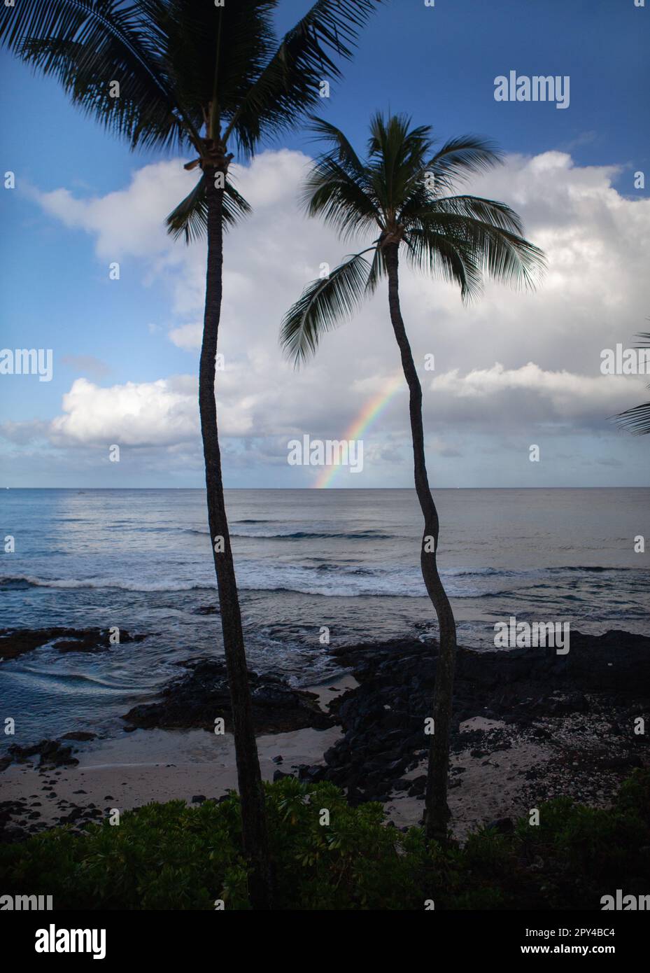 Hawaii Scenic Coast, Kona Coast, Big Island vista, Rainbow in nube tropicale con palme sopra l'oceano pacifico Foto Stock