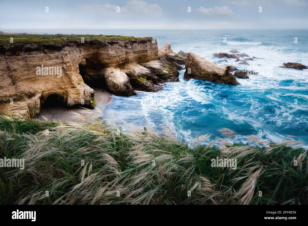 Spettacolare paesaggio costiero. Rocky Cliffs, Oceano Pacifico e piante native sulla spiaggia, Montana de Oro state Park, San Luis Obispo County, California Foto Stock