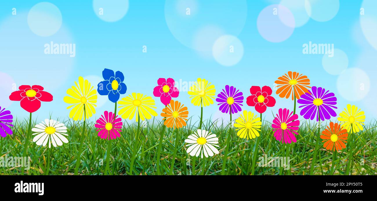 Fiori colorati su erba verde con sfondo cielo blu. Foto Stock