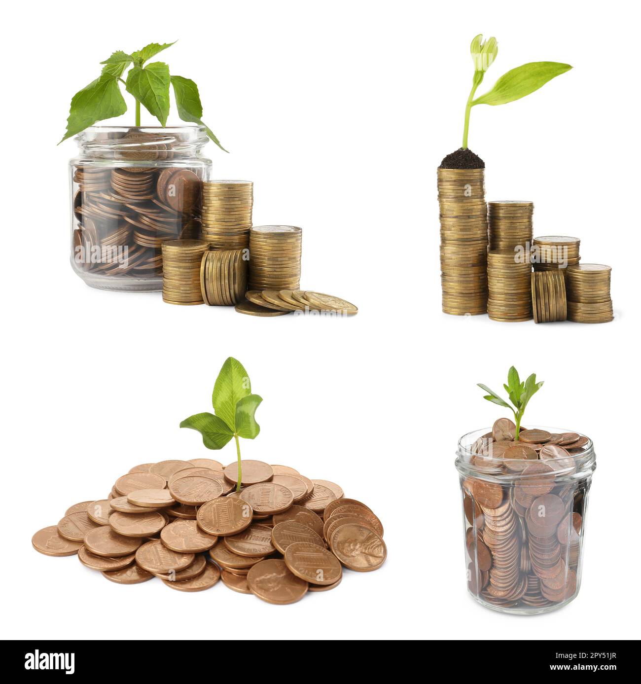 Set con vasi, monete e piante in crescita su sfondo bianco. Investimento di successo Foto Stock