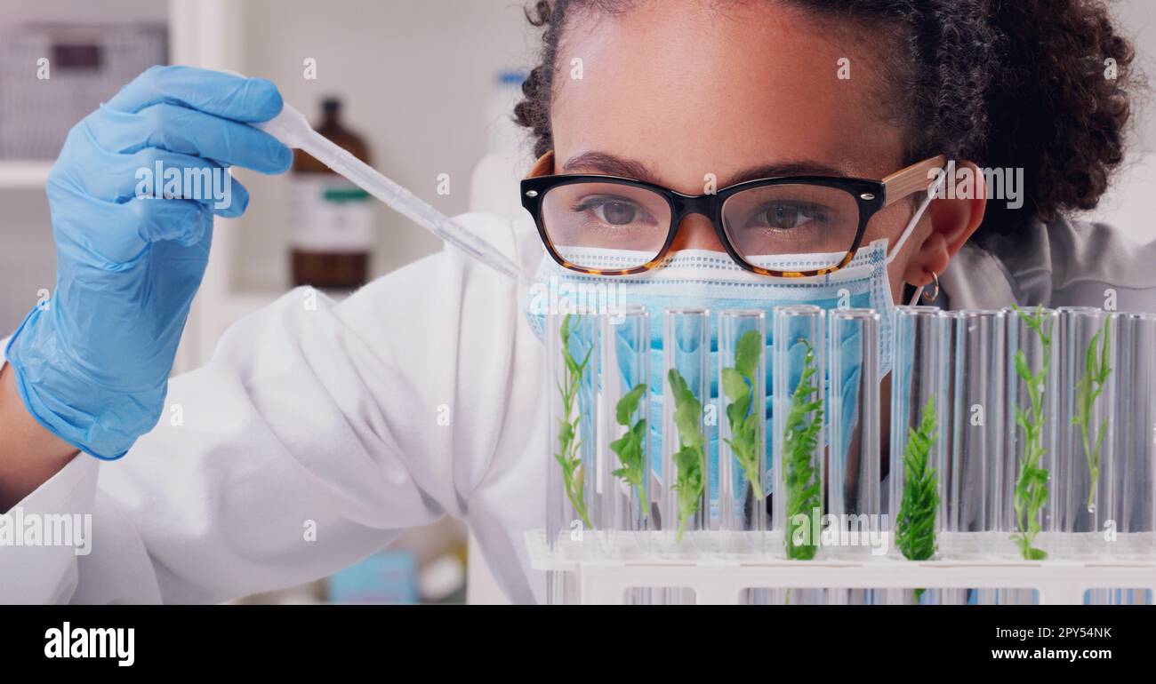 Ogni studio è condotto dalla curiosità. un giovane scienziato che lavora con campioni di piante in un laboratorio. Foto Stock