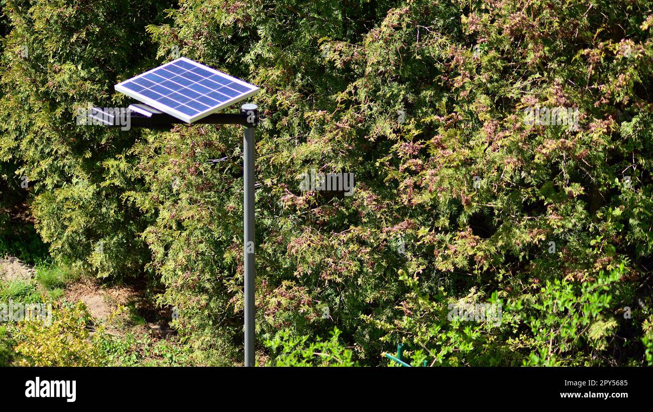 Palo di illuminazione con pannello fotovoltaico e lampade a LED con sfondo verde in giardino. Concetto di produzione di energia rinnovabile. Foto Stock
