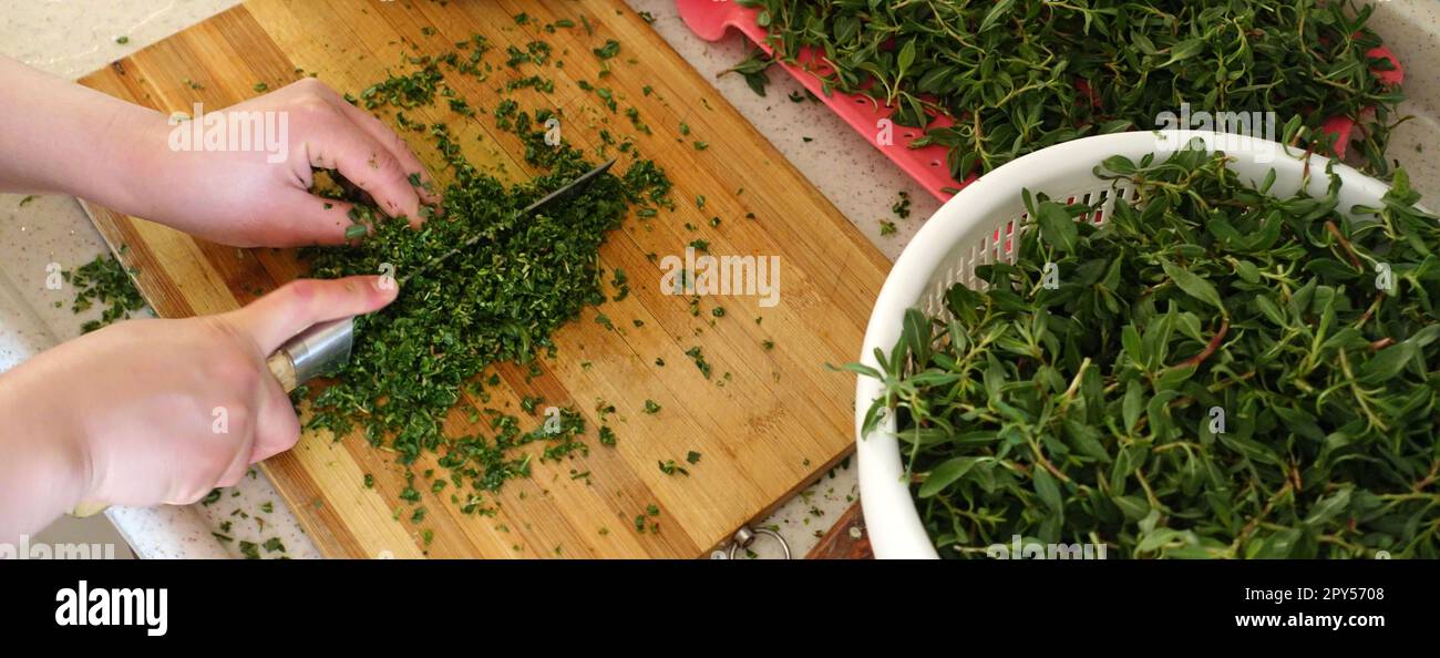 In Turchia, tritare l'erba di madÄ±mak dal cibo a base di erbe, l'erba di MadÄ±mak per il piatto di yozgat madÄ±mak Foto Stock