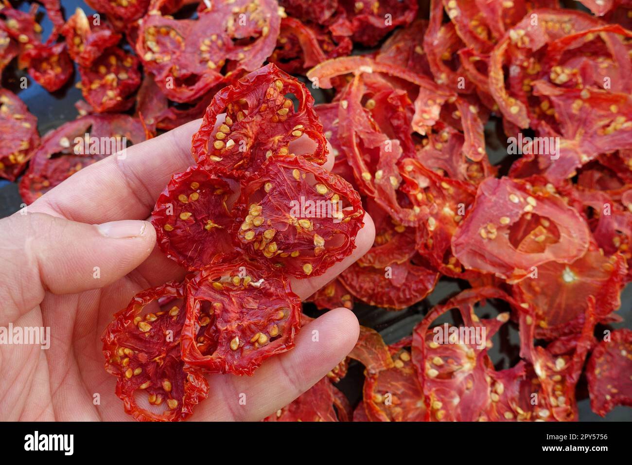 pomodori secchi, pomodori essiccati al sole naturale, cibo essiccato Foto Stock