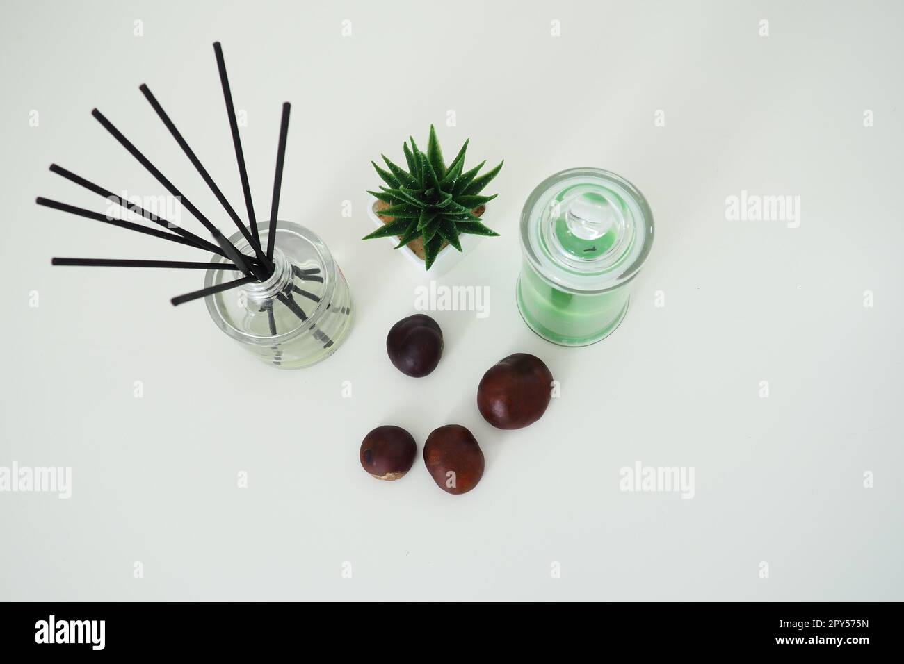 Bastoncini di incenso in un recipiente cubico di vetro con oli essenziali. Decorazioni interne. Sfondo bianco. Sansevier o pianta di aloe in un vaso. Cera in un elegante matraccio di vetro con coperchio. Frutta di castagne Foto Stock