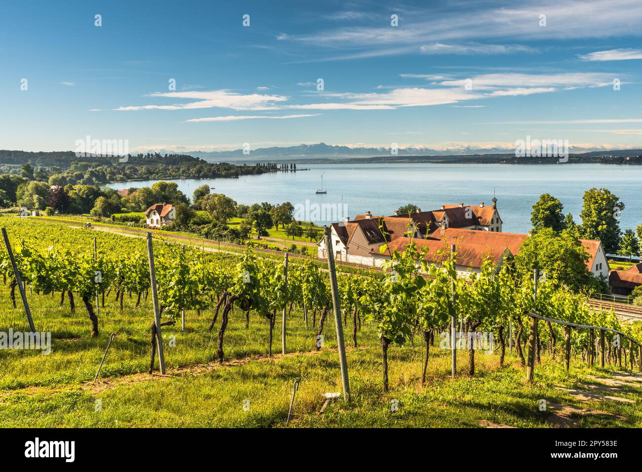 Vista panoramica sul Lago di Costanza, all'orizzonte le montagne Alpstein con Saentis, Baden-WÃ¼rttemberg, Germania Foto Stock