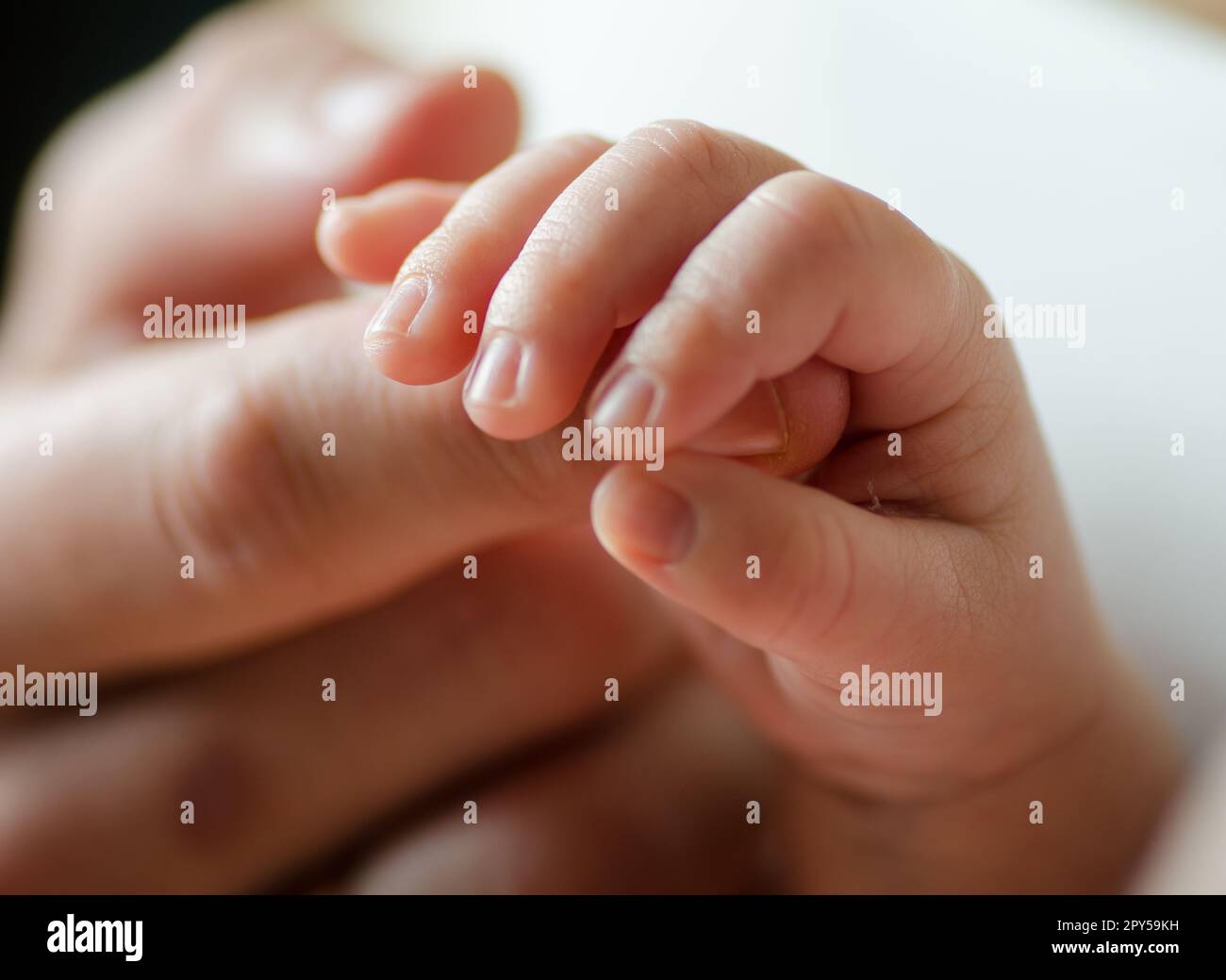 Mano neonato che tiene il dito di papà Foto Stock