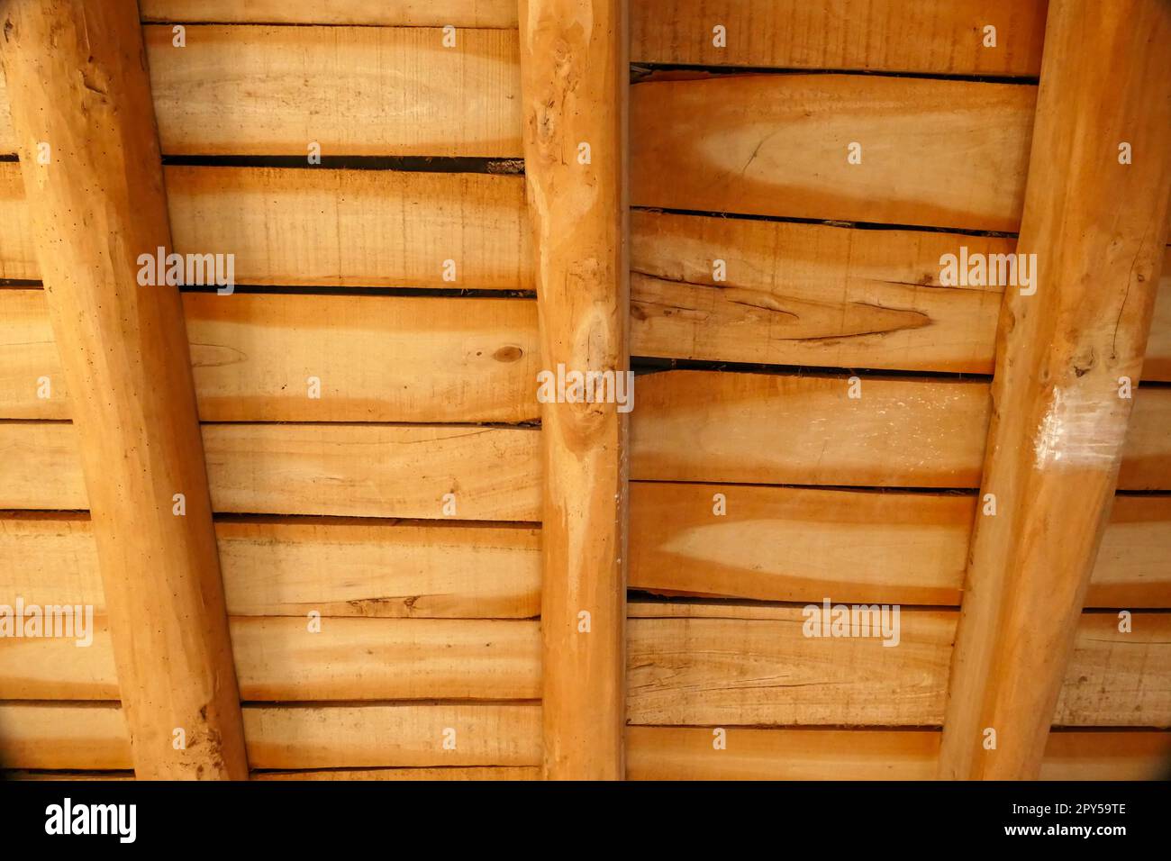 campioni di soffitto in legno, soffitto di casa in legno di pioppo Foto Stock