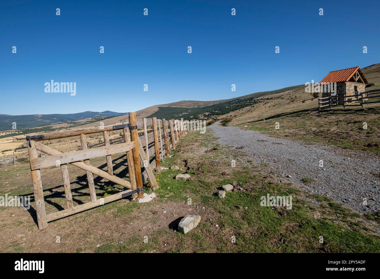 Acebal de Garagüeta, Soria, Comunidad Autónoma de Castilla, Spagna, Europa Foto Stock