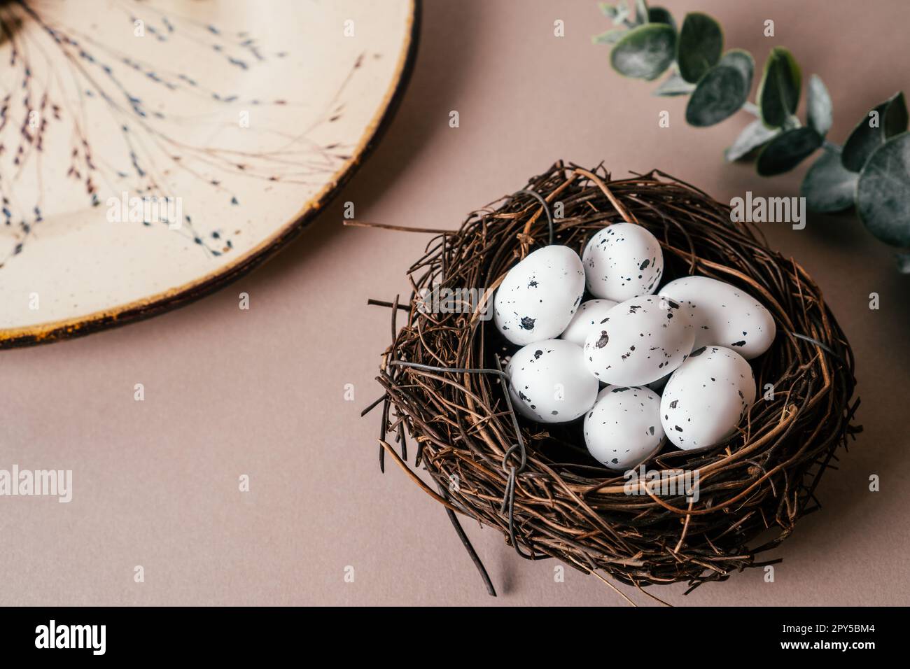 Composizione pasquale di uova di quaglia nel nido vicino al piatto con ramoscelli di piante e ramoscelli di eucalipto su sfondo beige. Foto Stock