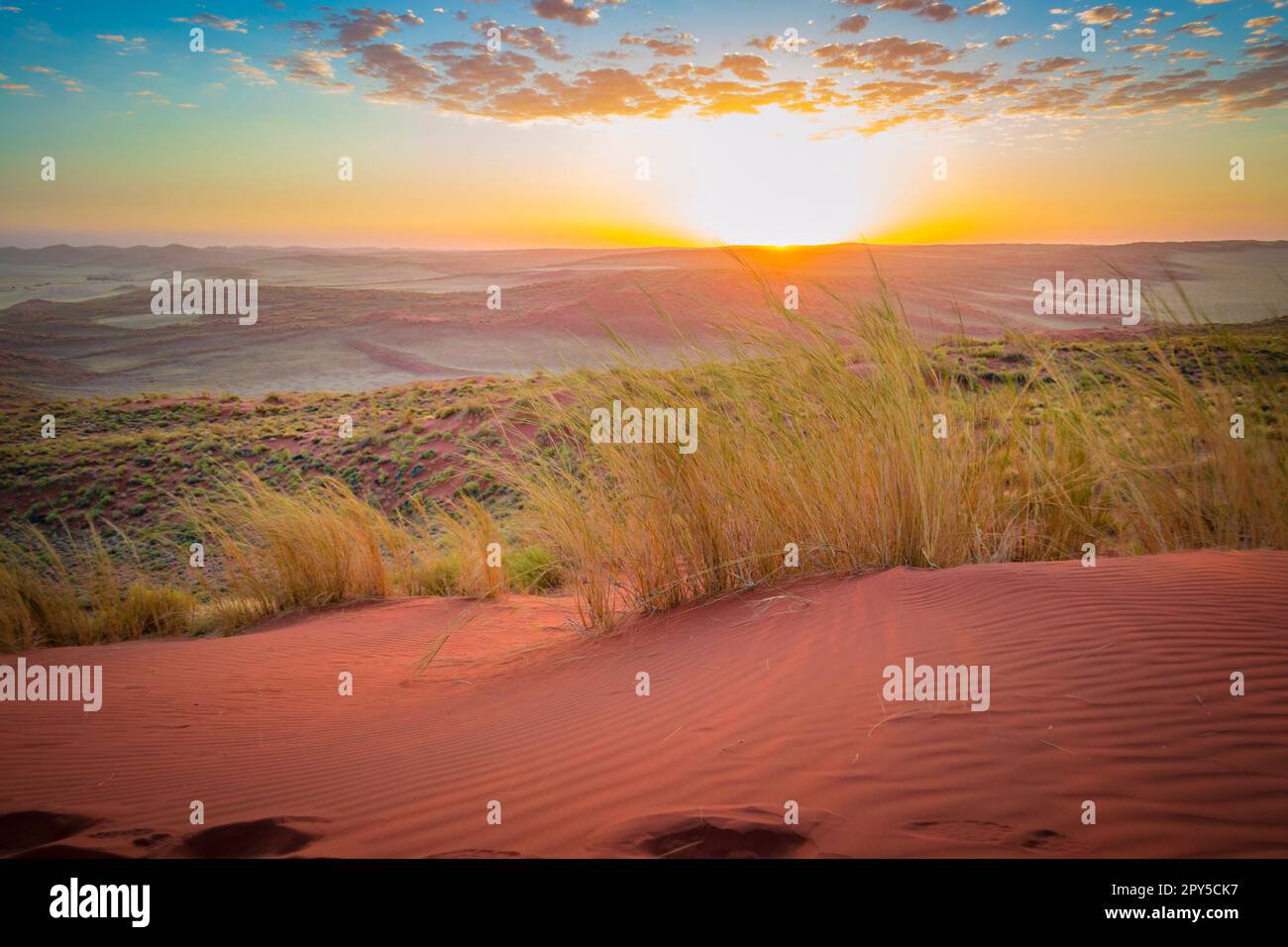 Ammira i dintorni e l'altopiano di Sossuvlei da una duna di sabbia in Namibia Foto Stock