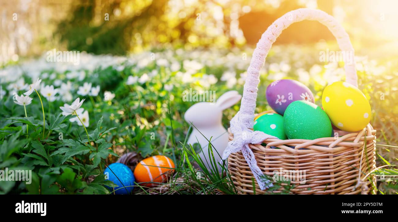 Sfondo del campo di primavera con il giocattolo di coniglio e cesto con uova colorate su di esso. Foto Stock