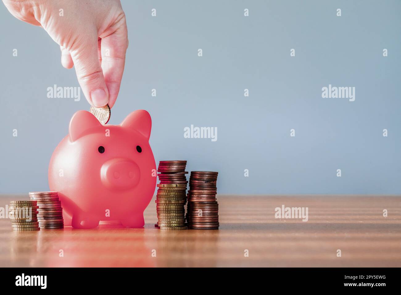 Maialino di colore rosa con accumulo di denaro per aumentare la crescita, risparmiare denaro, concepire investimenti finanziari aziendali. Spazio di copia per il testo con sfondo grigio Foto Stock