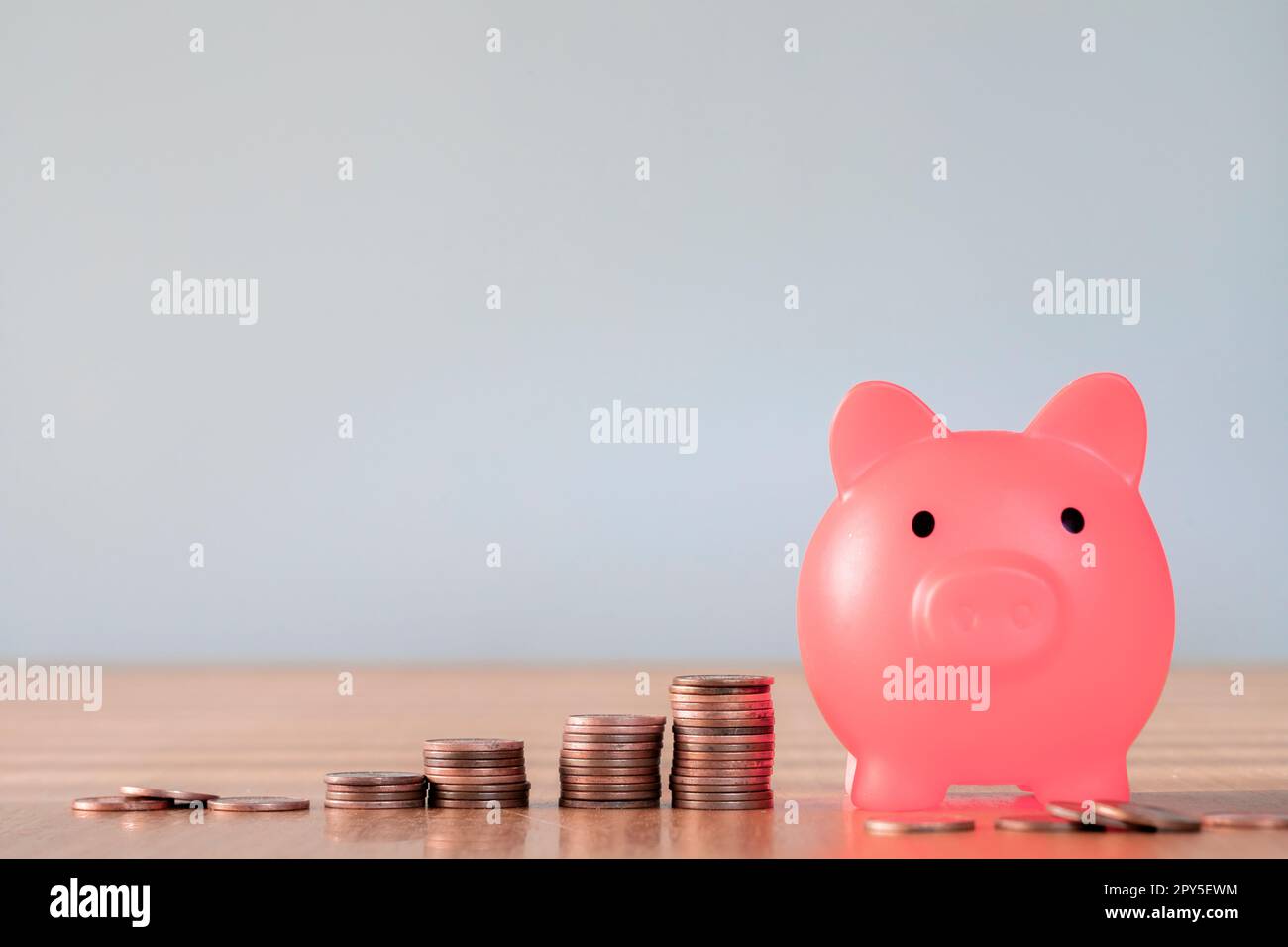 Maialino di colore rosa con accumulo di denaro per aumentare la crescita, risparmiare denaro, concepire investimenti finanziari aziendali. Spazio di copia per il testo con sfondo grigio Foto Stock