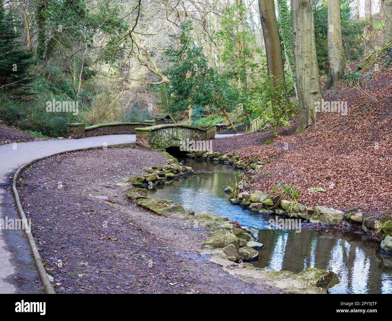 Torrente tortuoso nel Parco di Peasholm, Scarborough, Inghilterra Foto Stock