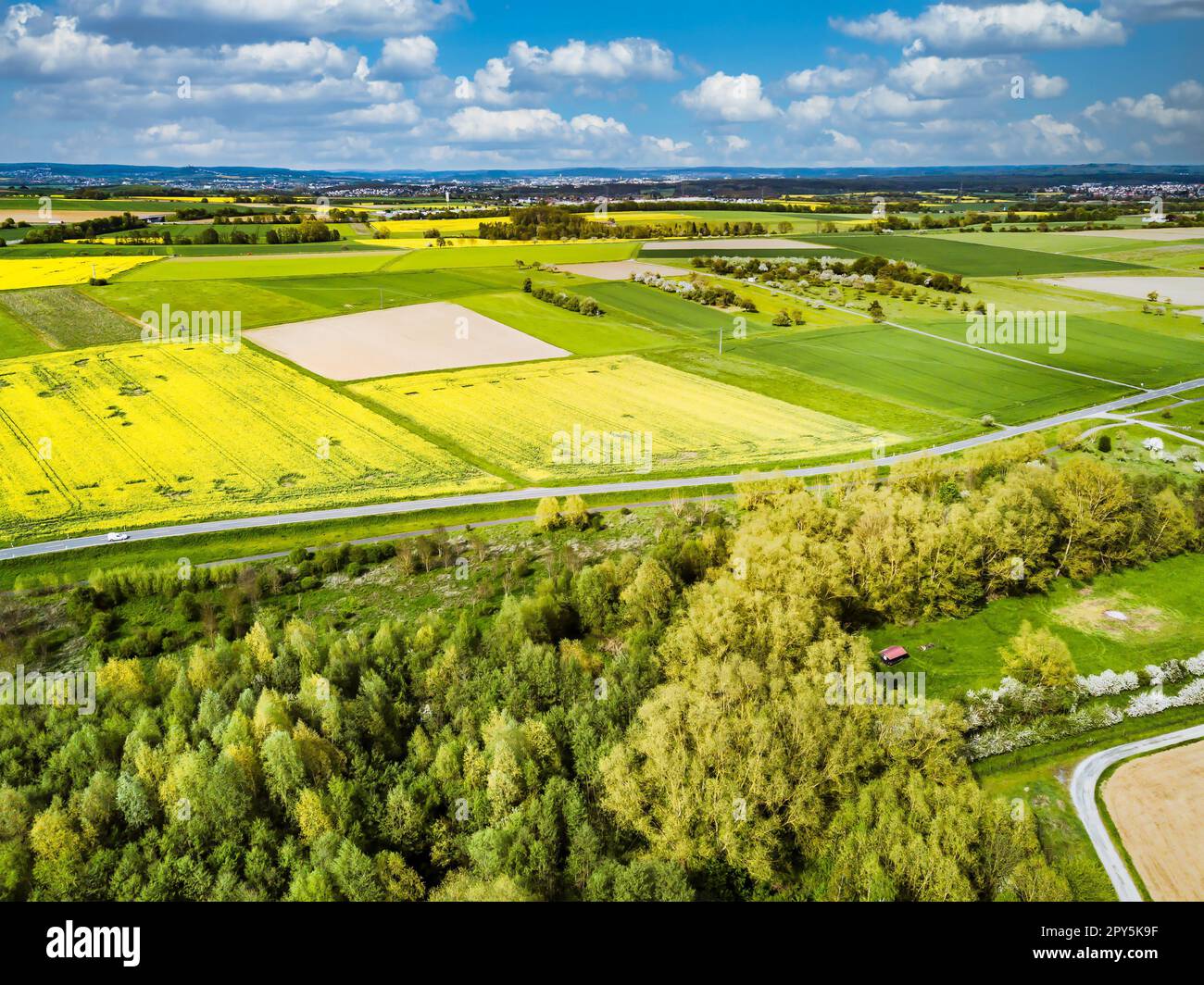 Foto del paesaggio con drone Canola Field Foto Stock