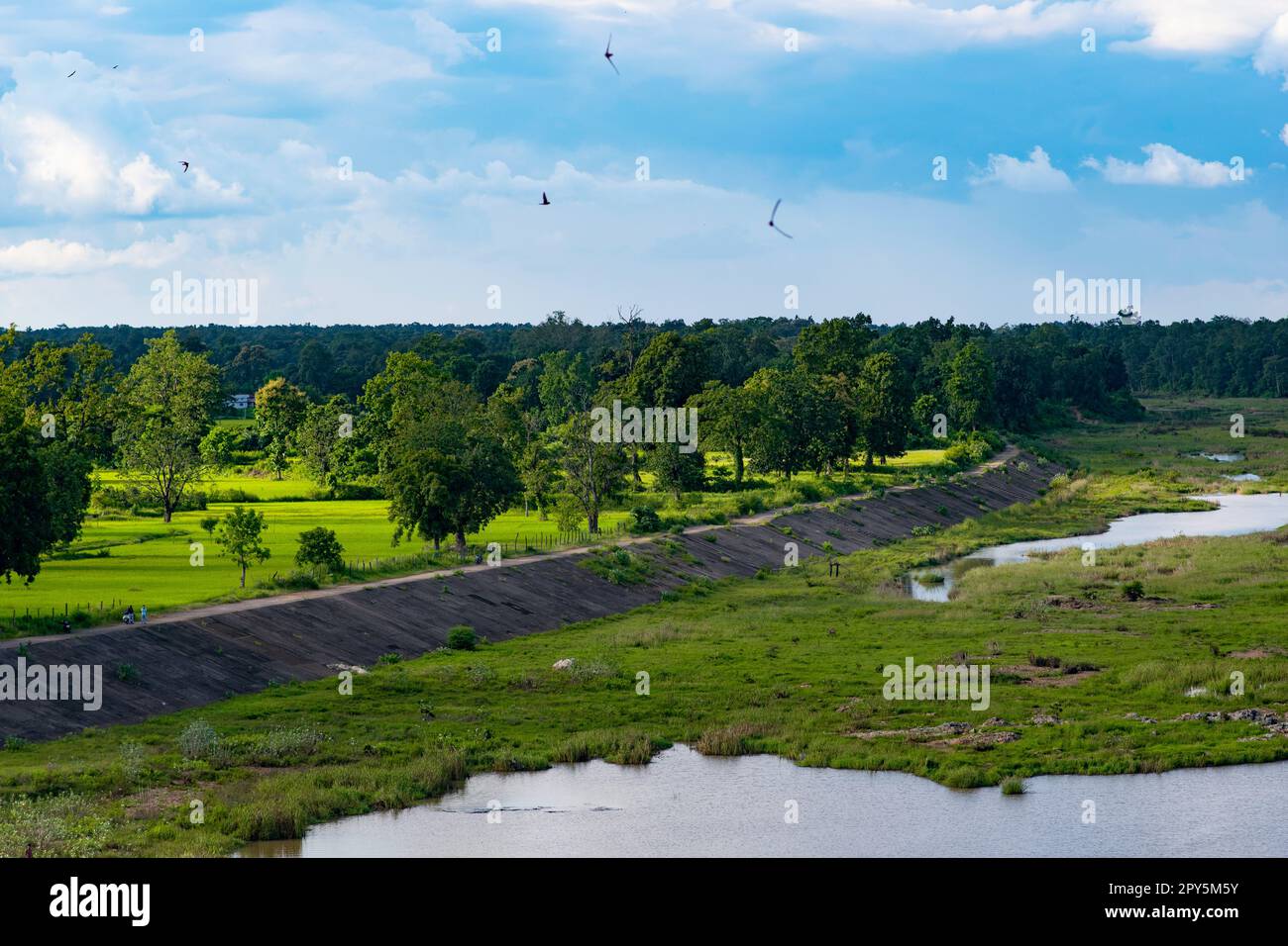 Bastar è una destinazione popolare per gli amanti della natura, per gli amanti dell'avventura e per coloro che sono interessati alle culture indigene e alle forme d'arte. Foto Stock
