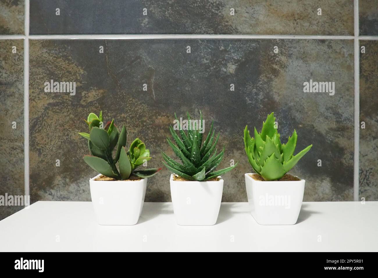 Elementi di design del bagno. Interni con piastrelle nere. Tre piante di bonsai artificiali verdi in piccoli vasi bianchi su un ripiano dell'armadio. Foto Stock