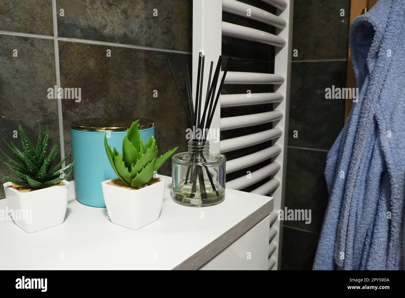 Elementi decorativi del bagno. Un barattolo blu di crema e piante verdi in piccole pentole bianche sono su uno scaffale nell'armadio. Piastrelle nere. Interno del bagno. Parete del radiatore. La camicia è appesa. Bastoncini di aroma. Foto Stock