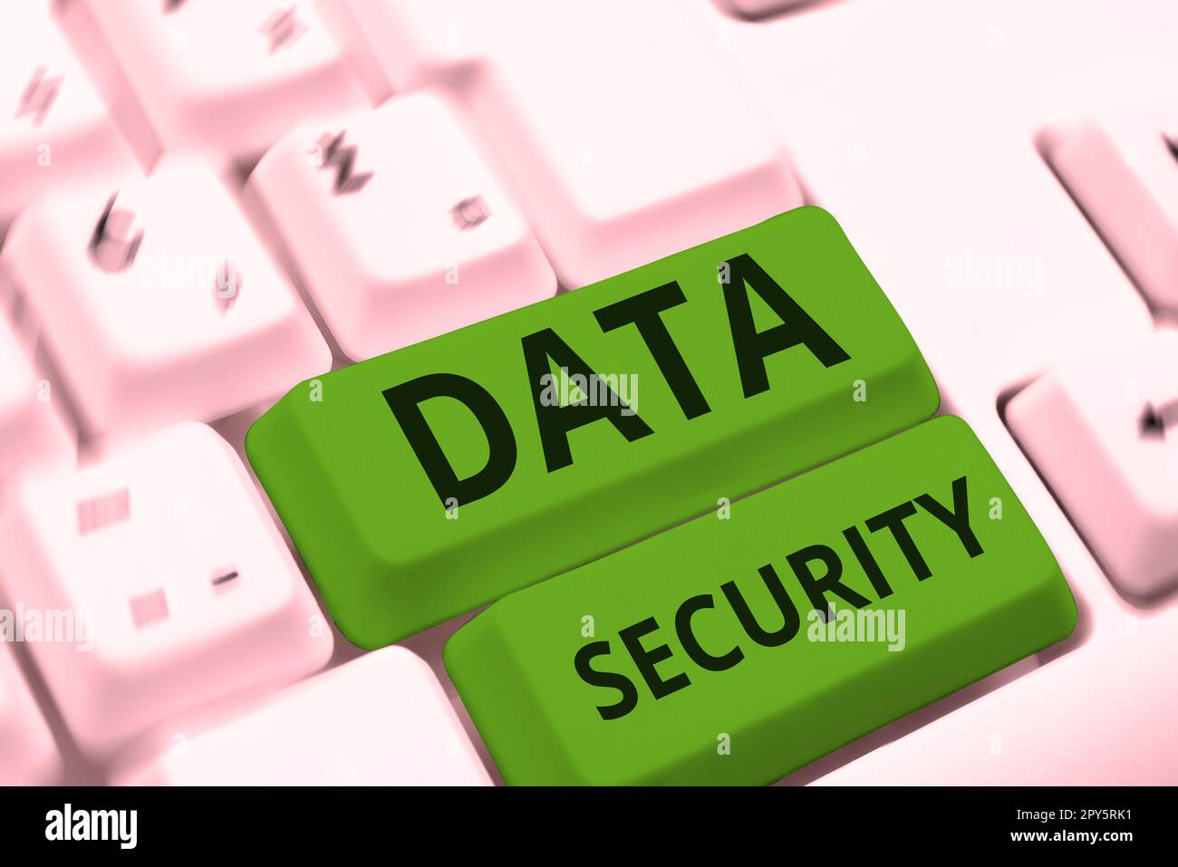 Ispirazione che mostra Sign Data Security. Word for Confidentiality Backup di crittografia del disco protezione della password Foto Stock