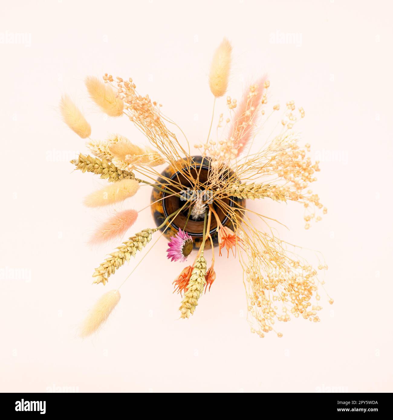 sopra la vista di un mazzo di piante secche in vaso sul rosa Foto Stock