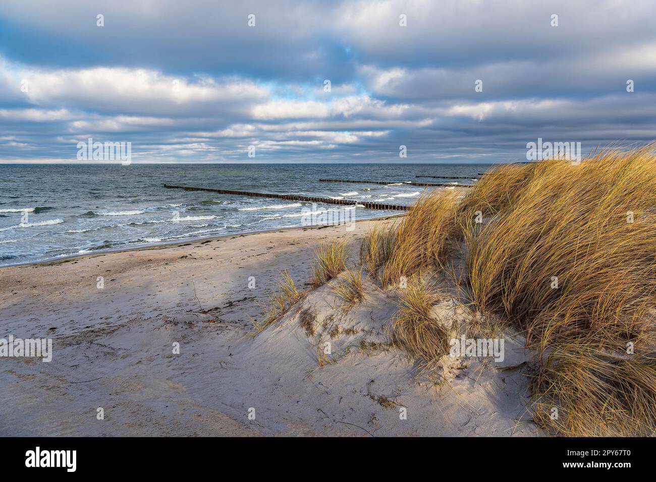 Groynes e duna sulla riva del Mar Baltico ad Ahrenshoop, Germania Foto Stock