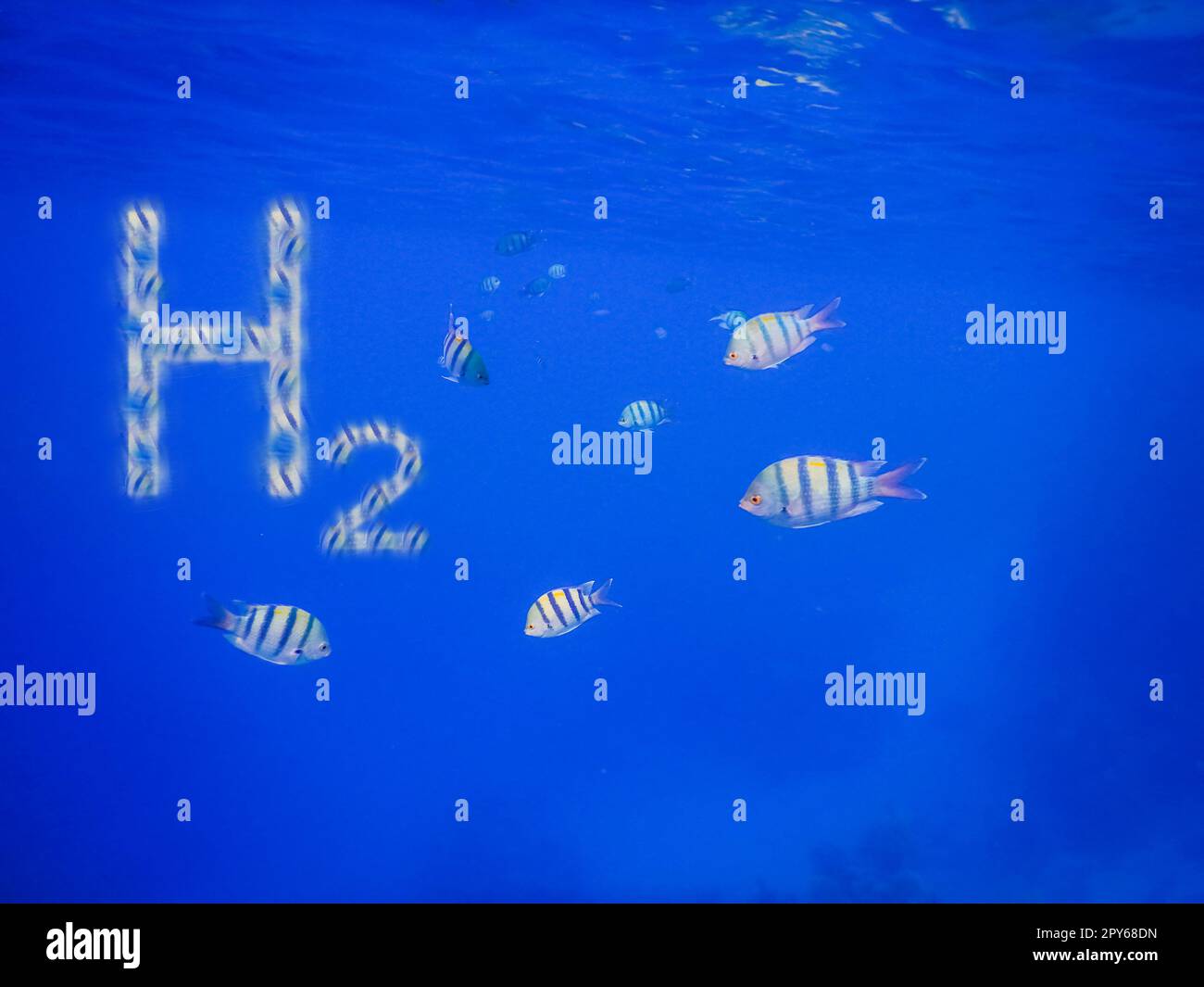 Illustrazione P3D energia pura idrogeno h2 e pesce del sergente inopazifico in acqua blu Foto Stock