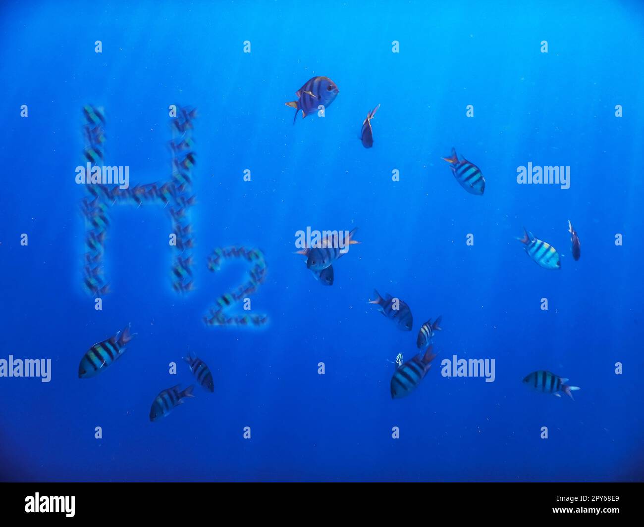 Illustrazione 3D energia pura l'idrogeno h2 e il sergente interno pescano nel mare blu con i raggi del sole Foto Stock