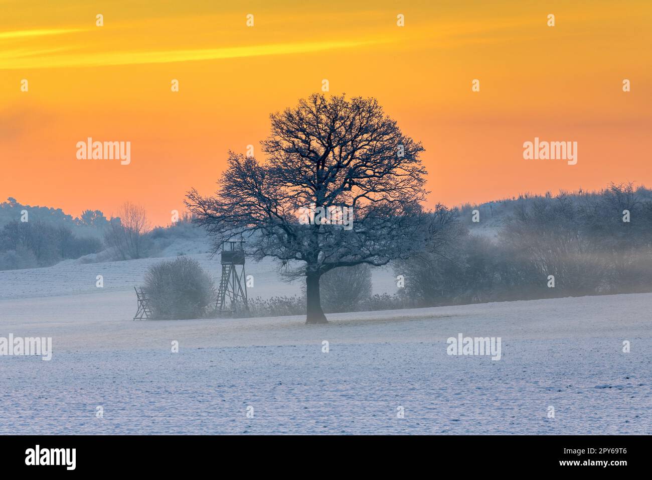 Alba su un campo in Baviera in inverno Foto Stock