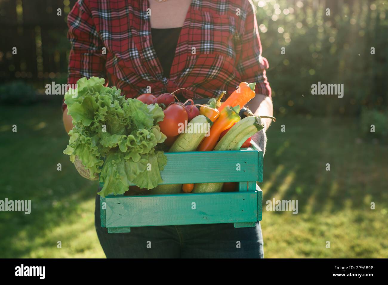 Donna contadina che tiene una scatola di legno piena di verdure crude fresche. Cestino con cavolo di verdure, carote, cetrioli, ravanelli, insalata, aglio e pepe in mani femminili. Foto Stock