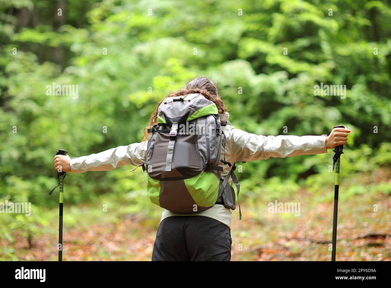 Zaino in spalla in una foresta Foto Stock