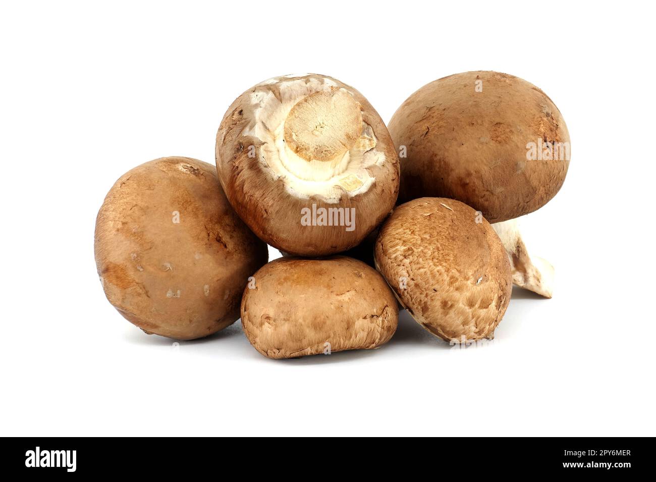 Funghi interi Cremini isolati su bianco Foto Stock