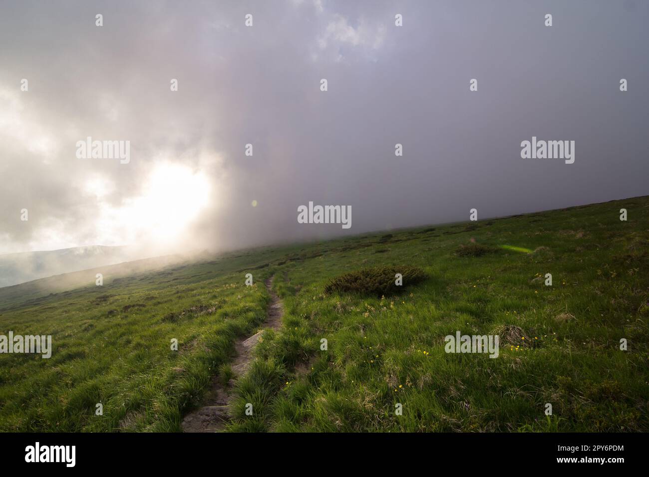 Foto bassa nebbia sopra il paesaggio di collina erba Foto Stock