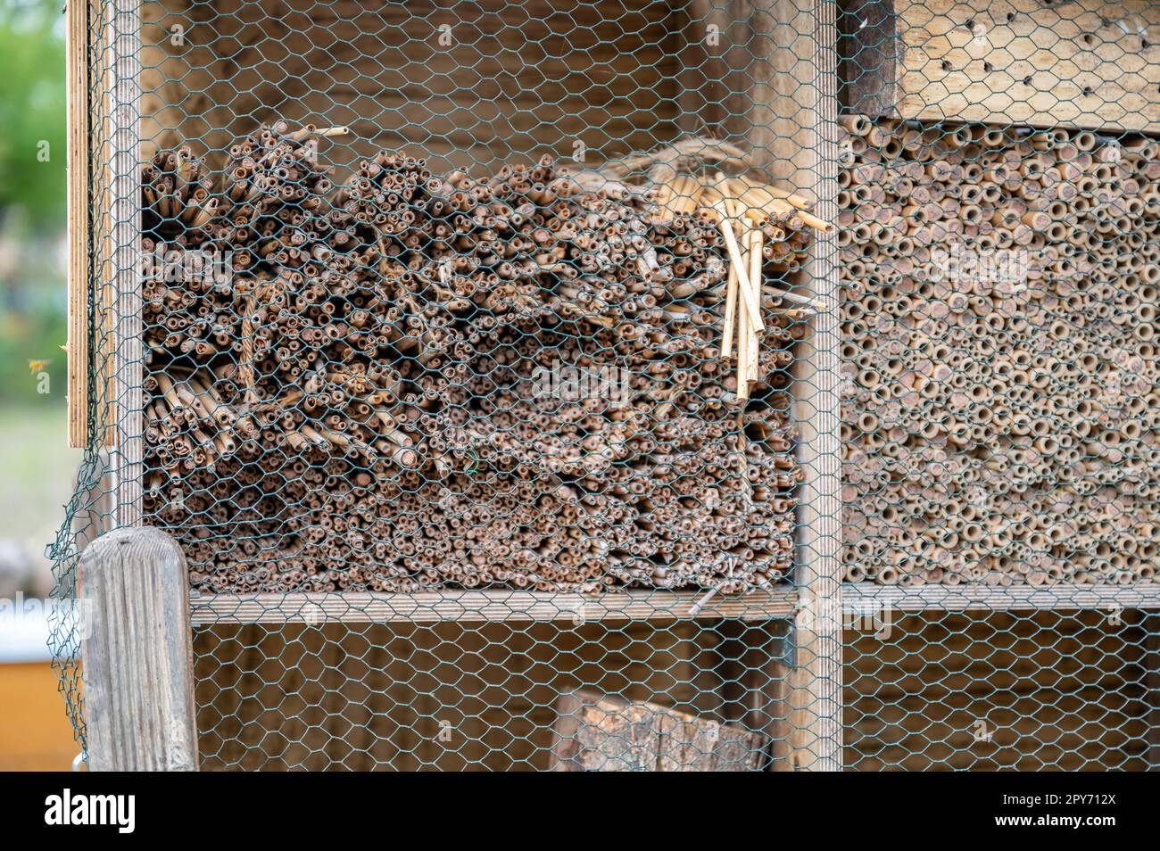 Primo piano ape casa hotel ape, insetto hotel agricolo protezione ambientale in legno in una fattoria Foto Stock