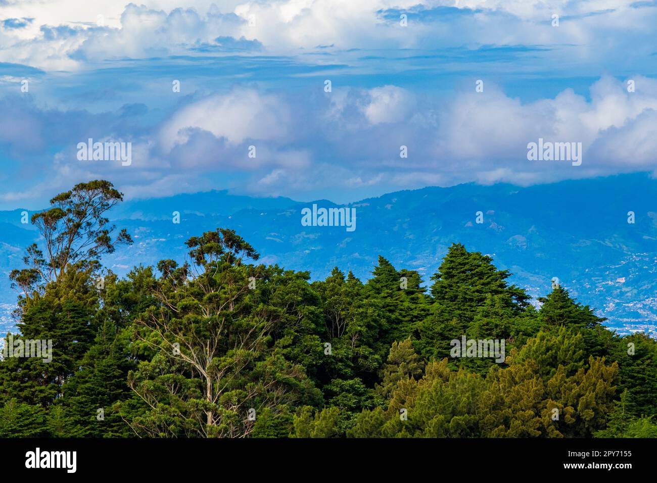 Splendido paesaggio montano panorama cittadino foresta alberi natura Costa Rica. Foto Stock