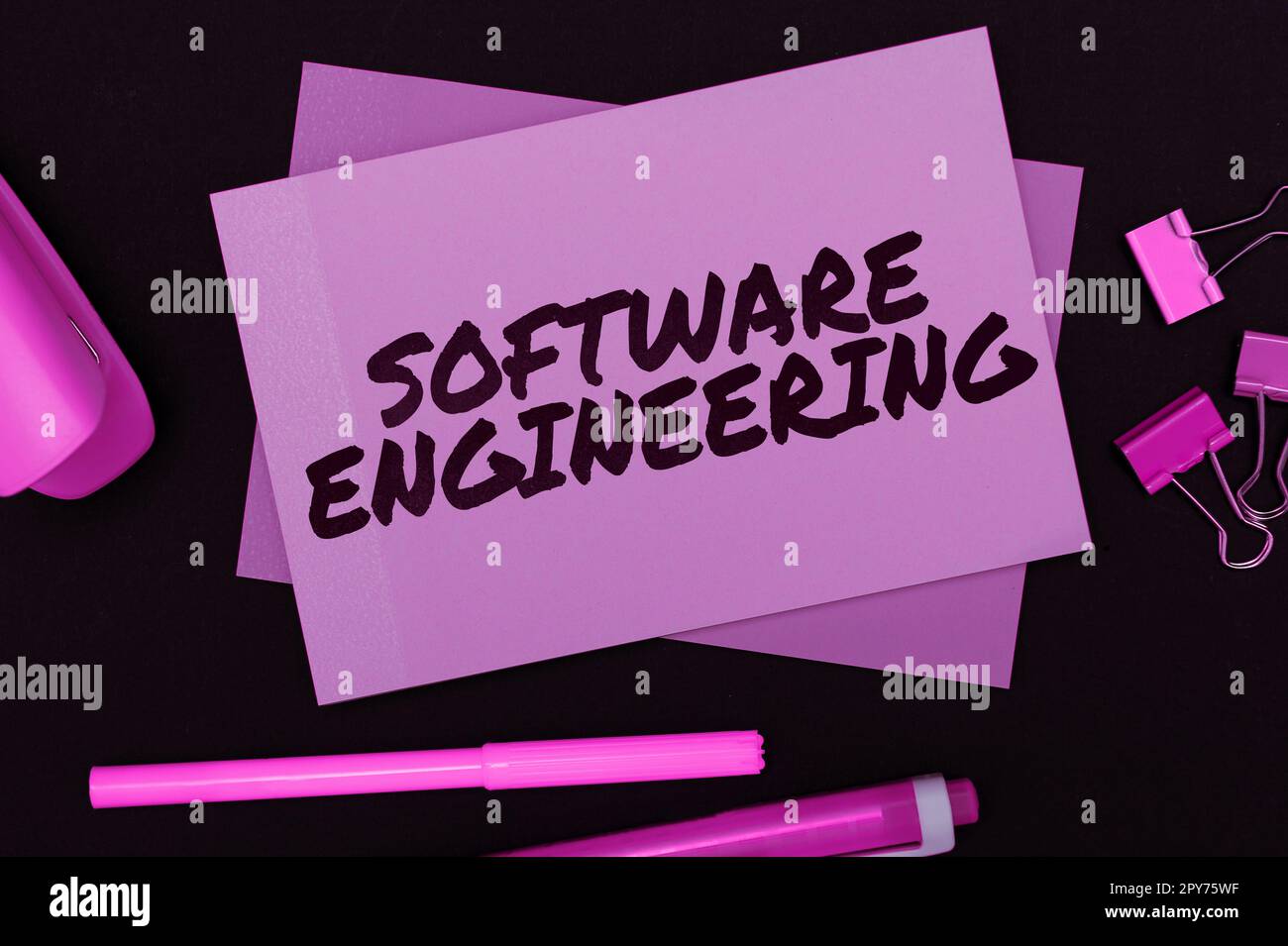Visualizzazione concettuale Software Engineering. Sviluppo del programma di Business Concept in un approccio sistematico quantificabile Foto Stock