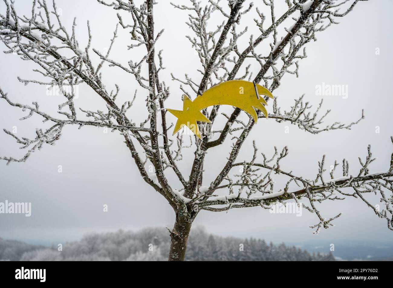 Natale Star religione cristiana NATALE tiro stella decorazione pende in un albero Foto Stock