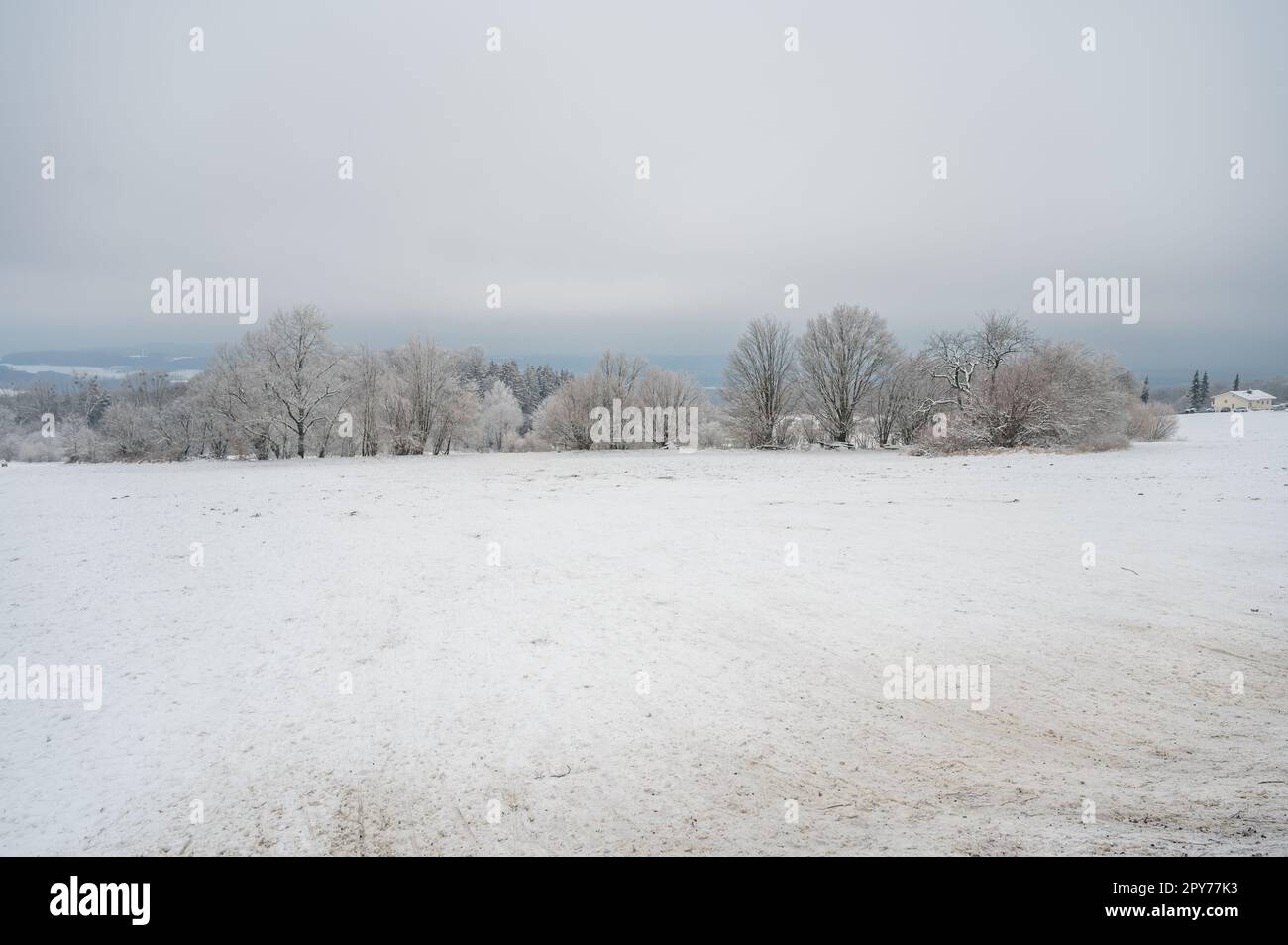 Splendido paesaggio innevato con prato e foresta durante le giornate nuvolose d'inverno, Neunkircher Hoehe Odenwald, Darmstadt Foto Stock