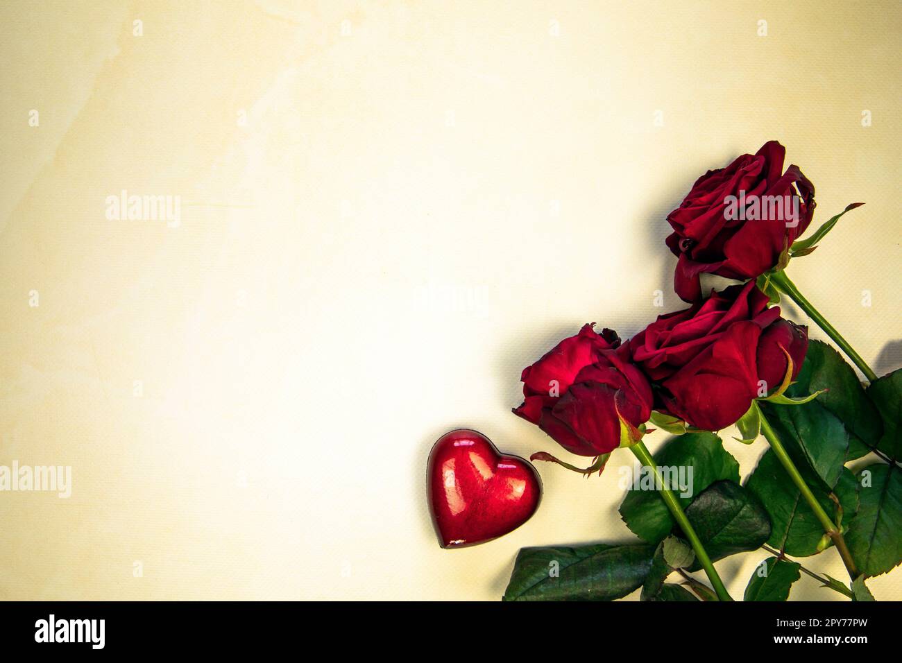 Carta e rosa rossa per san valentino immagini e fotografie stock ad alta  risoluzione - Alamy