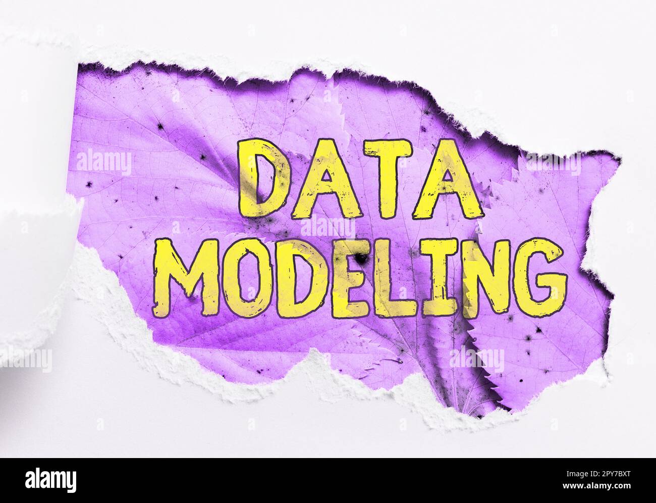 Visualizzazione concettuale modellazione dei dati. Parola per il processo di trasferimento dei dati tra sistemi di memorizzazione dati Foto Stock