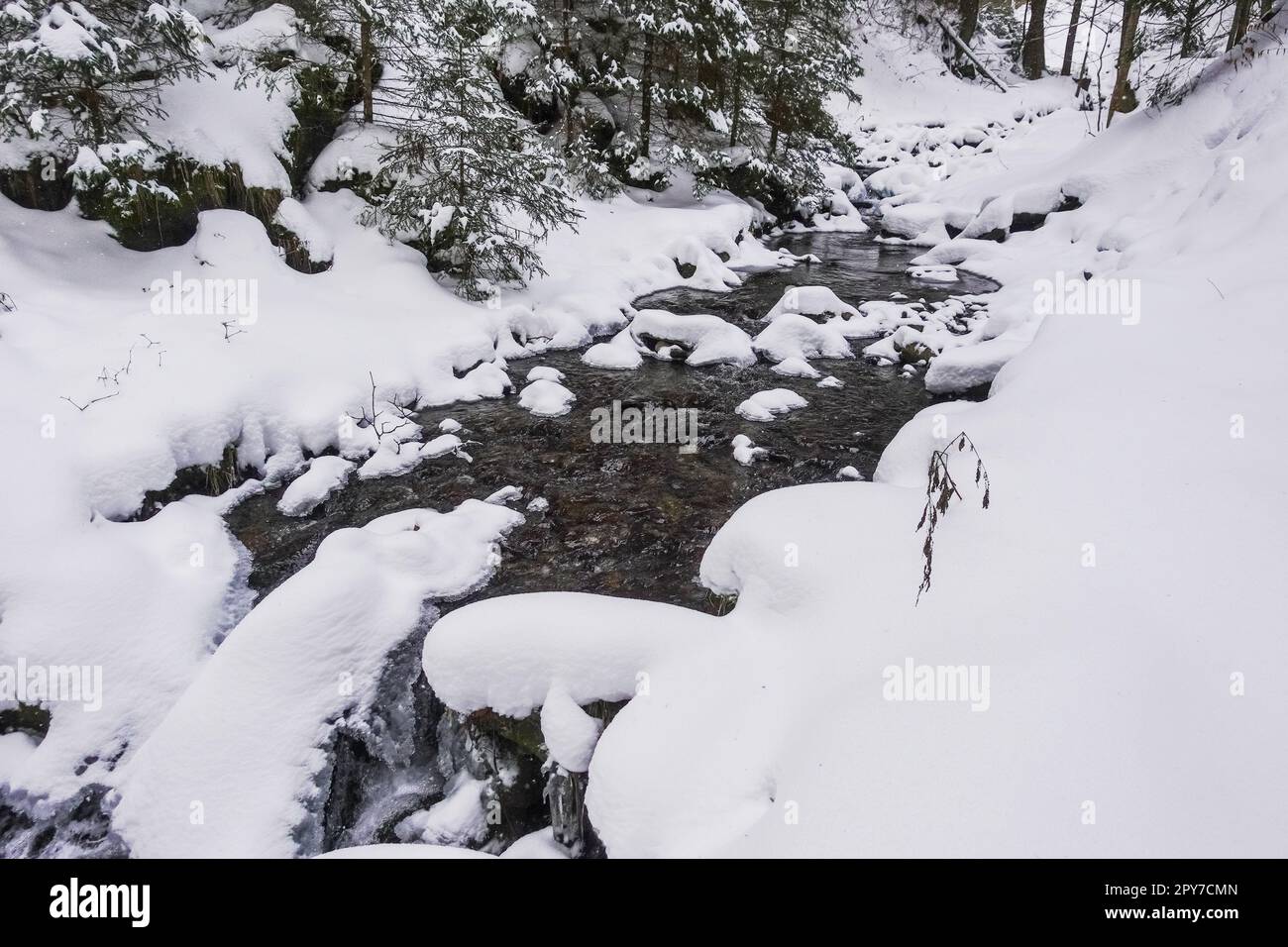 acqua fresca proveniente da un ruscello e molta neve bianca durante le escursioni Foto Stock