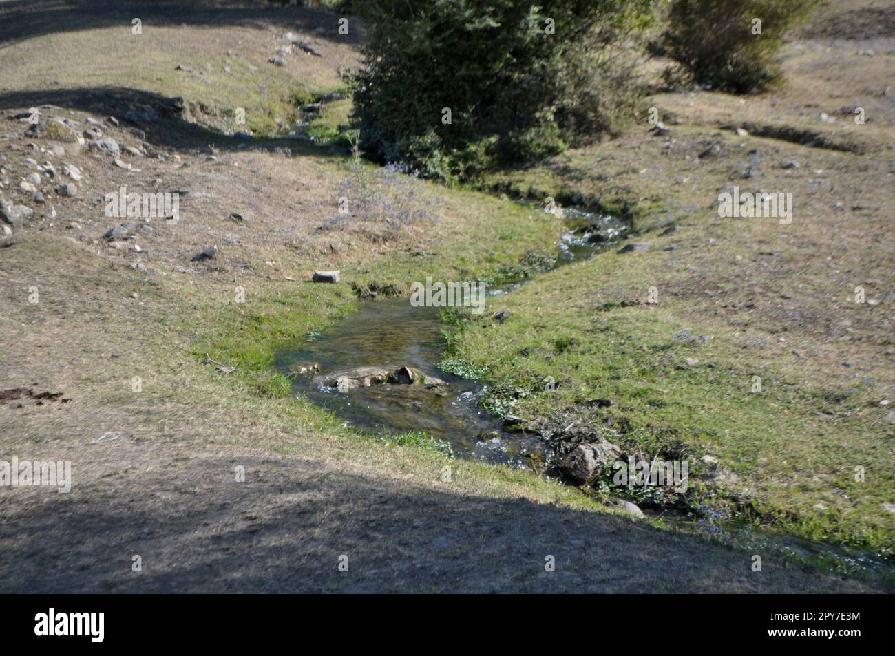 Un piccolo ruscello scorre attraverso un prato verde in montagna. Foto Stock