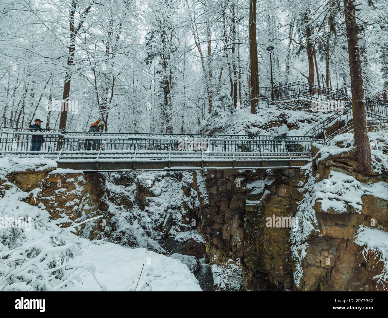 ponte innevato in un parco di montagna Foto Stock