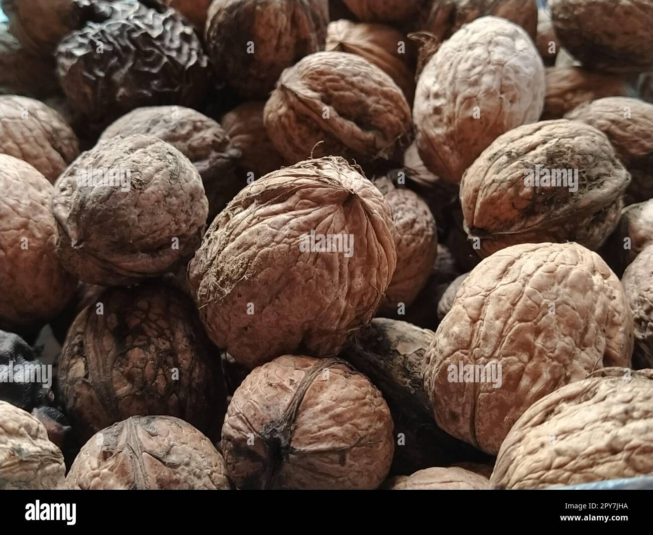 Primo piano delle noci. Raccolta di dadi. Frutta di noce, drupe arrotondate grandi a un solo seme. Una dieta sana che include gliceridi di acidi linoleici, oleici, stearici, palmitici e linolenici Foto Stock