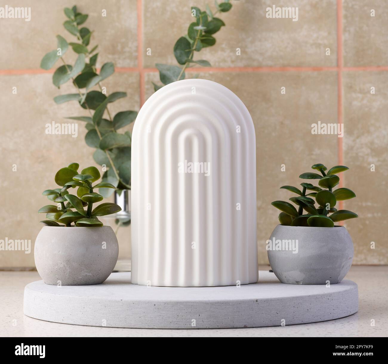 Vaso in ceramica con pianta e arco decorativo bianco sul tavolo. Foto Stock