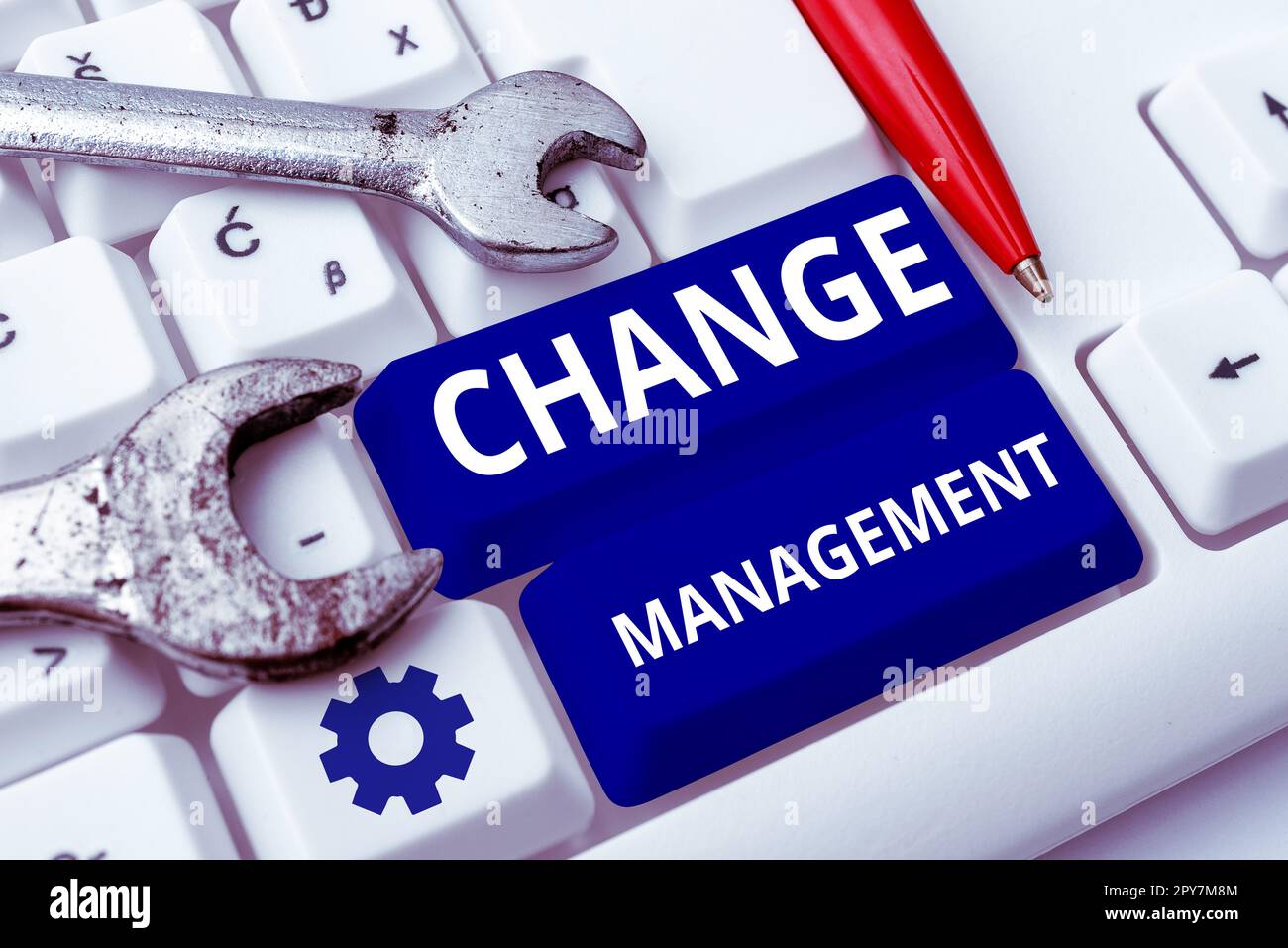 Scrittura con visualizzazione del testo Change Management. Vetrina aziendale Sostituzione della leadership in un'organizzazione nuove politiche Foto Stock